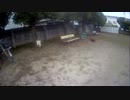 ｛川口｝青木町3丁目広場遊園を歩いた