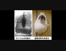 ネット上のおまえら・現実世界のおまえら feat.sunoAI