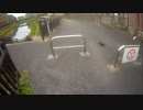 ｛川口｝芝川全力階段