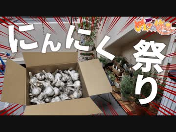 【キスの予定】無限ニンニクのフルコース！【無し】