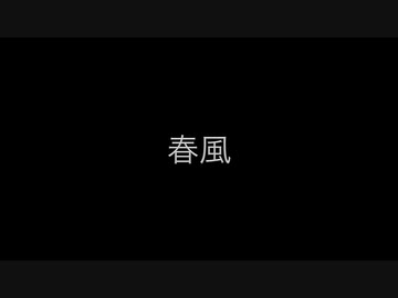 マタタビのとある画日記24