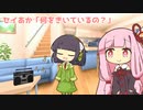 セイあか「何をきいているの？」