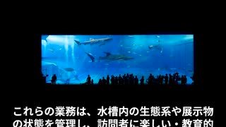 水族館スタッフってどんな仕事なの