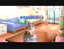 【猫ミーム】戦争体験世代のばあちゃんの葬式で衝撃の過去を知った猫　＃猫マニ　＃終活