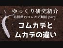 【ゆっくり研究紹介】ムカデとコムカデの違い＿島根県のコムカデ類相①