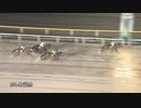 第36回かしわ記念 シャマル