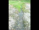 癒しの時間です