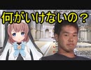 ホモと見る淫夢に対し理解がありすぎる聖人Vtuber