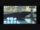 赤ちゃんなまず飼育日記 323日目