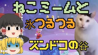 【ゆっくり実況】スーパーマリオワンダー　ねこミームと氷つるつるズンドコの谷