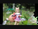 アクティビティのゆっくり（猫）ゆるポタ道中Part22　新潟ふるさと村　チューリップ鑑賞とお勧めのお土産について
