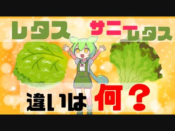 【ずんだもん解説】レタスとサニーレタスの違いについて解説！