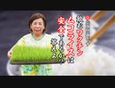 飲むワクチン・ムコライス、これは安全か？答えよ