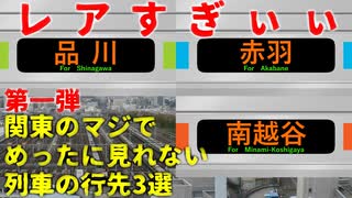 【第一弾】JR東日本のマジでめったに見れないレア行先3選【JR東日本】【ゆっくり解説】