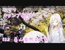 ひとりキャンプ紀行#31「日本の原風景と春の訪れ」【Cevio車載】【美山自然文化村キャンプ場】