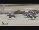 2024年5月2日園田競馬5R 芦毛だよ！全員集合♪(C2・C3) エルアルコン