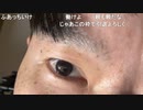 【コメント有】ニンポー 2024年05月02日20時46分「エナドリ飲み過ぎて目が冴えた」【ニコ生録画】(5／2 ニコ 3枠目)