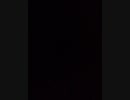 君は僕に似ている