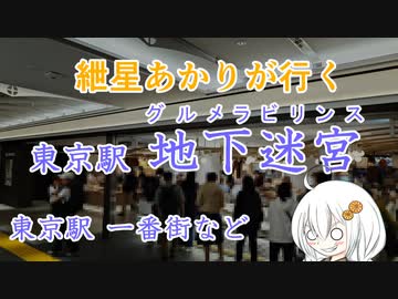 紲星あかりが行く！「東京駅 地下迷宮」　＠東京駅一番街