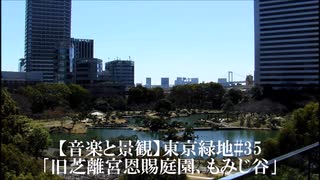 【音楽と景観】東京緑地#35｢旧芝離宮恩賜庭園、もみじ谷｣