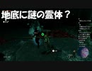 #38【ゼルダの伝説 ティアーズ オブ ザ キングダム】地底の霊体は味方っぽい！