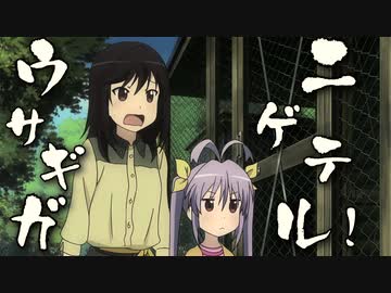 のんのんシティ