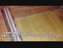 20220214_【F15墜落周辺海域で何が_】[2022年2月14日現在、推理考察まとめ編]矛盾点のまとめ出し！『2022年1月31日午後5時半頃レーダーの消息を絶った精鋭部隊(ｱｸﾞﾚｯｻｰ)』 (1)