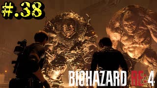 【BIOHAZARD_RE:4】ヘタレが大統領の娘のパンツは見れないけど頑張る【完全初見】#.38