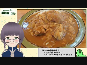 【いっぱい食べたい】弘前公園の屋台 / カレー＆コーヒーかわしま さん【嵩祢香さね】