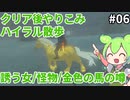 【ティアキン】ハイラルまったり散歩してクリア後やりこみpart6【ずんだもん実況】