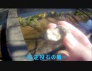 ｛東浦和｝外記橋反逆投石