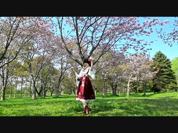 【ぴよちゃん】極楽浄土踊ってみた【一眼レフ】