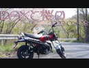 DAXと桜②| 2023-04-08_motovlog 【有響シロ & 虚音イフ】