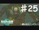 【初見実況】 第二五話　橋上のヒノックス　【 ゼルダの伝説 ティアーズオブザキングダム 】