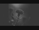 カーネーション　/　東北きりたん