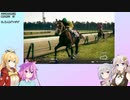 【ウイニングポスト10 2024】(#12)マキあかりっかのウイポ10 2024【Voicepeak・AI Voice・ガイノイドトーク実況プレイ】