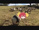 タイヤにハマっちゃった代