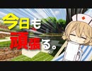 【村人と街づくり】ナースロボさん、市長になる。Part.2『Minecraft/MineColonies/1.20.1』