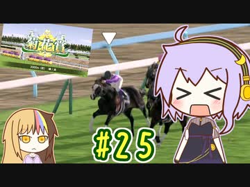 馬主のゆかりさん part25【ダビスタswitch】