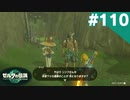 【実況】#110:ゼルダの伝説 ティアーズ オブ ザ キングダム 初見実況プレイ★【TotK】