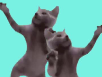 ネコ科によく似た猫ミームでライオン