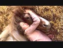 娘がどこにいるのか気になった母親は、この状態の娘を発見しました