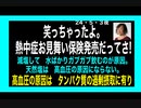 24・5・3夜　政府を信じちゃイカン！嘘つきだからね。