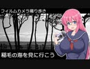 【珠江S-201】稲毛の海を見に行こう【フィルムカメラ撮り歩き】
