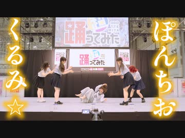 くるみ☆ぽんちお - 踊ってみた by安藤未知×岩茶×チャイナ×聖寿莉×ぺのすけ