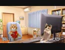 【猫ミーム】うちの猫から受けているネコハラ被害についてお話します。｜びびちゃんねる