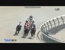 2024年5月4日　東京9R　青竜ステークス(OP)　ソニックスター