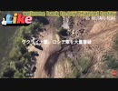 素晴らしい瞬間！ ウ軍２４時間に侵略兵1124名砲兵38名APV14台撃破！