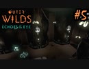 #5【Outer Wilds：Echoes of the Eye】さらに遊べるDLCがあるらしい【Switch版実況プレイ】