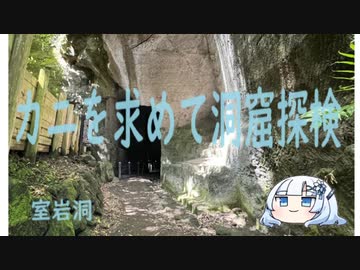 カニを求めて洞窟探検